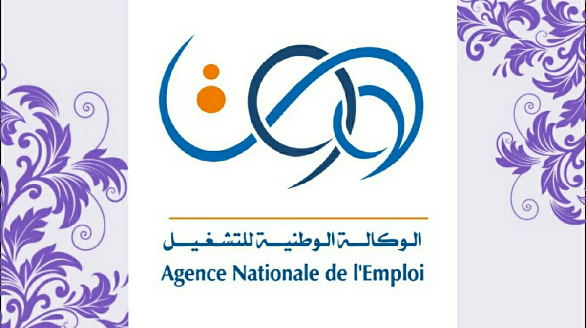 رابط موقع تجديد منحة البطالة الجزائر