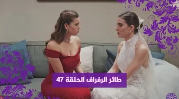 مشاهدة مسلسل طائر الرفراف الحلقة 47 HD مترجمة ايجي بست قصة عشق طائر الرفراف الحلقة 47 فيديو لازوِرا